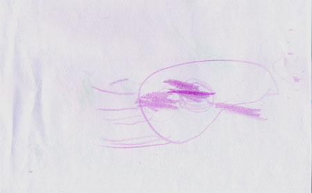 Swimming frog